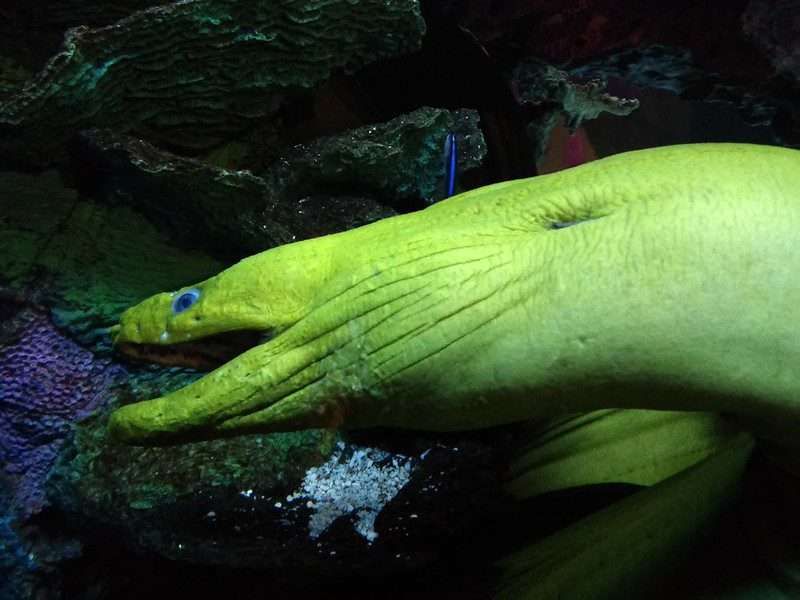 10 Wondrous Things To Do In Myrtle Beach 10 things to do in myrtle beach