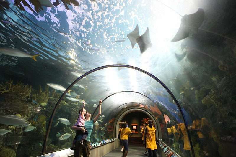 15 Exciting Things To Do In New Orleans 19 things to do in New Orleans