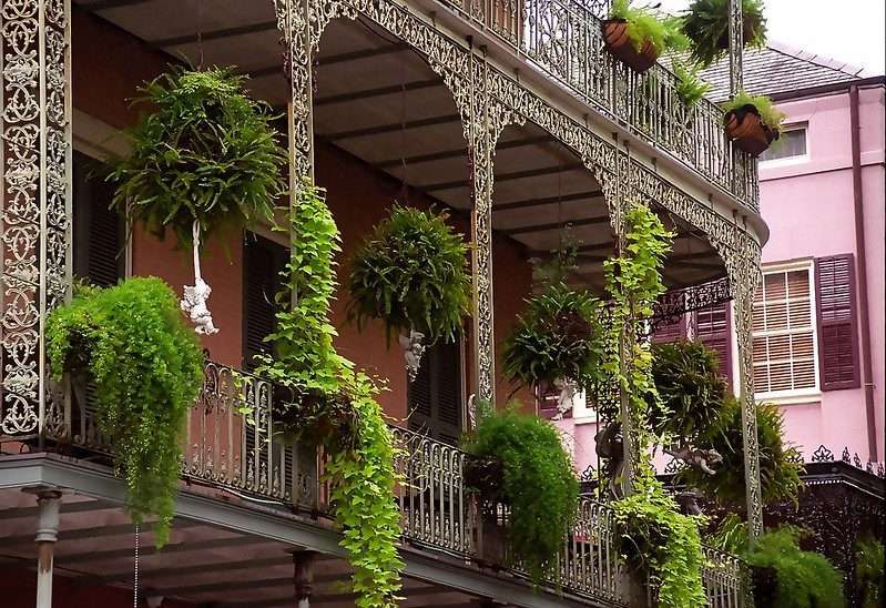 15 Exciting Things To Do In New Orleans 1 things to do in New Orleans