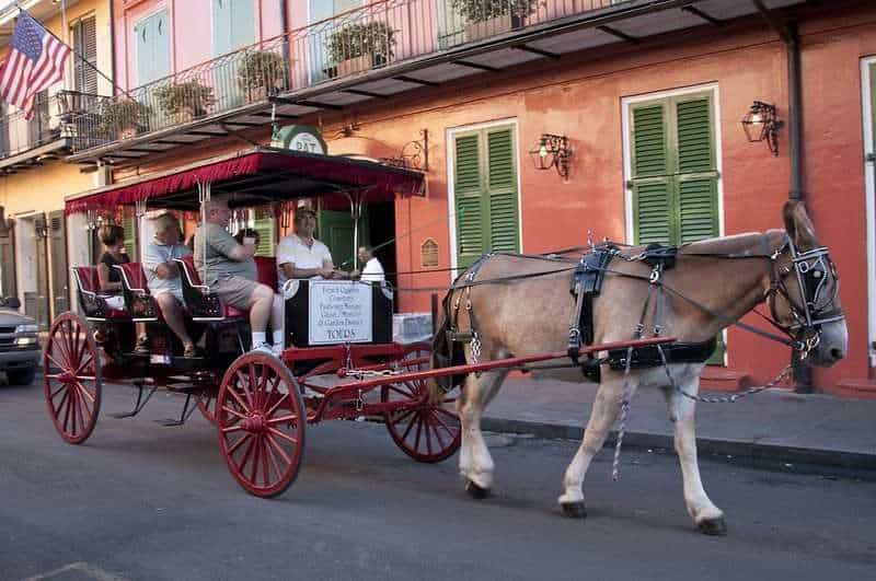 15 Exciting Things To Do In New Orleans 6 things to do in New Orleans