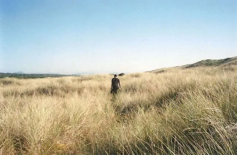 Oregon Coast Camping : 10 Amazing Places To Explore 17 Oregon Dunes Recreation Area