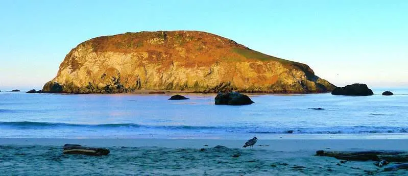 Oregon Coast Camping : 10 Amazing Places To Explore 28 Harris Beach State Park