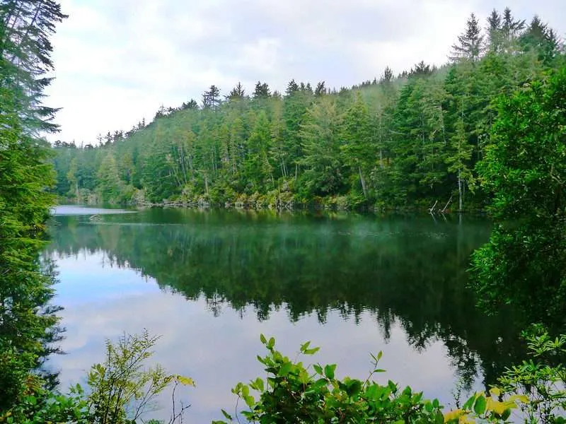 Oregon Coast Camping : 10 Amazing Places To Explore 19 Freshwater Lake Marie