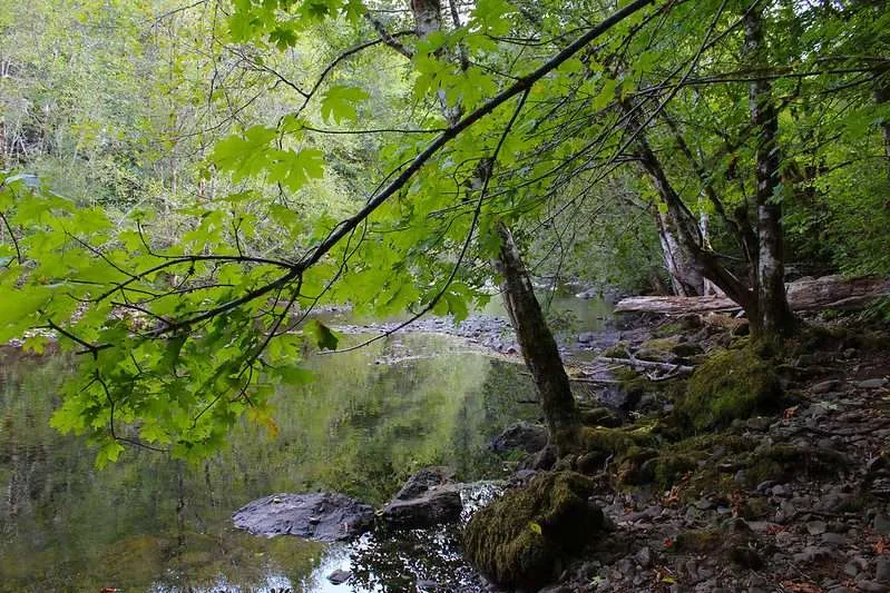 Oregon Coast Camping : 10 Amazing Places To Explore 16 Rock creek Campground