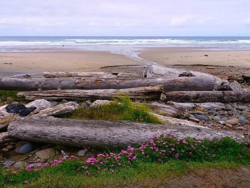 Oregon Coast Camping : 10 Amazing Places To Explore 14 Beverly Beach State Park