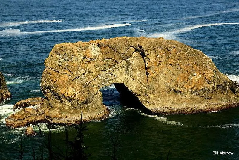 Oregon Coast Camping : 10 Amazing Places To Explore 29 Harris State Beach Park