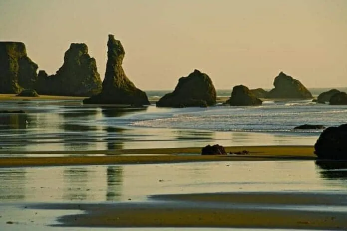 45160127471_483874afae_c Oregon Coast Camping
