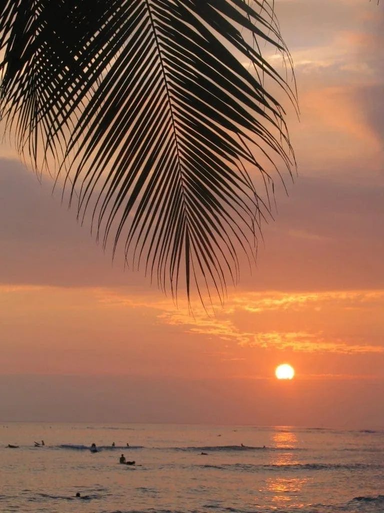 3 Best Things About Hilton Hawaiian Village Waikiki Beach Resort 5 274073213 7ddacf9252 o