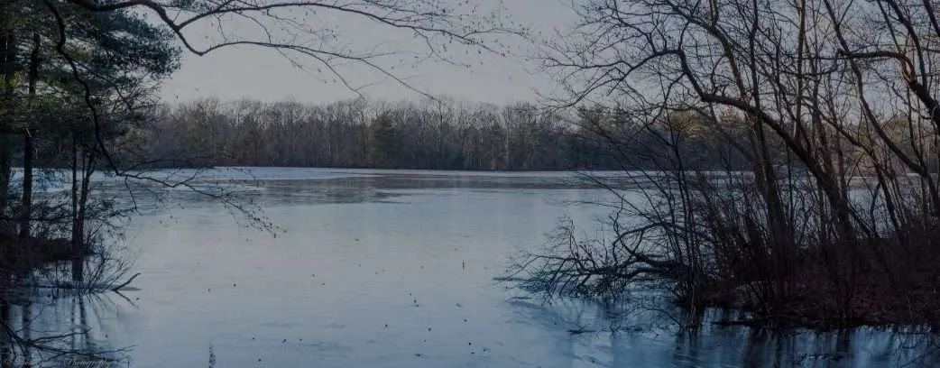 20 Astonishing Things To Do In Salem MA 7 Breakheart Reservation