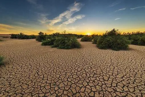 What Causes Global Warming - Top 11 Shocking Causes 7 Drought