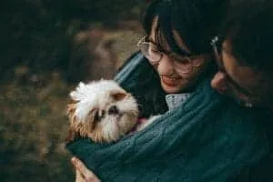 7 Cute Smallest Dog Breeds And Facts About Small Dogs 9 pexels helena lopes 1378849