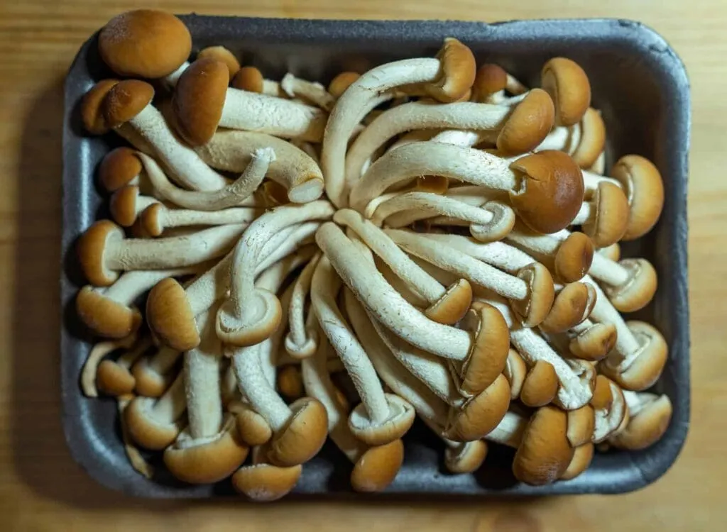 7 Amazing Benefits Of Mushrooms 2 Edible Mushrooms - Benefits of Mushrooms