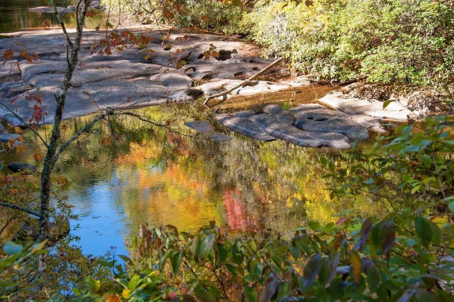 Best Place to Stay in Smoky Mountains TN : 7 Amazing Places to Check Out 8 29661552624 32347f8785 k