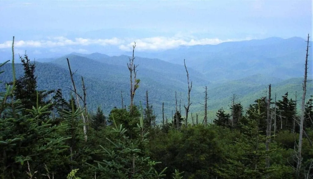 16 Beautiful Destinations To Visit During 1 Epic East USA Road Trip 9 51204000316 497c7a0d85 k