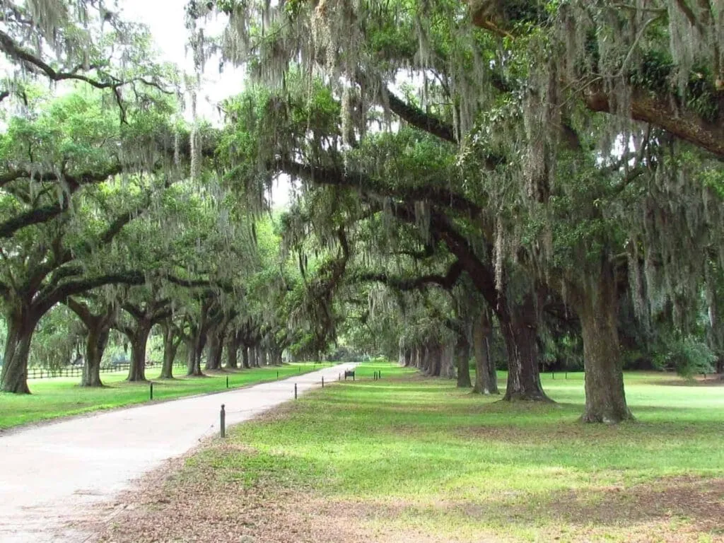 16 Beautiful Destinations To Visit During 1 Epic East USA Road Trip 10 5844882629 76df320d2f k