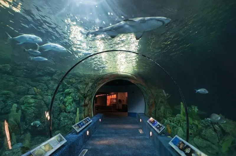 22 Fun Places To Visit In Texas 17 Moody Gardens And Aquarium