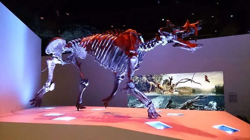 22 Fun Places To Visit In Texas 19 Houston Museum Of Natural Science