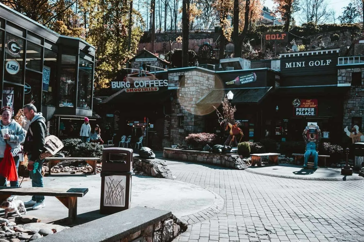 Best Place to Stay in Smoky Mountains TN : 7 Amazing Places to Check Out 1 sean foster BBm4UTEnzd4 unsplash