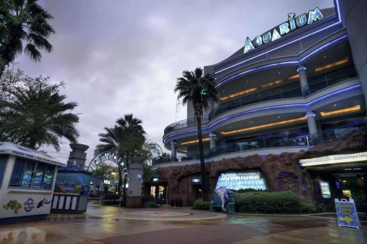 5 Best Date Ideas Houston: Celebrate Your Love 11 Downtown Aquarium
