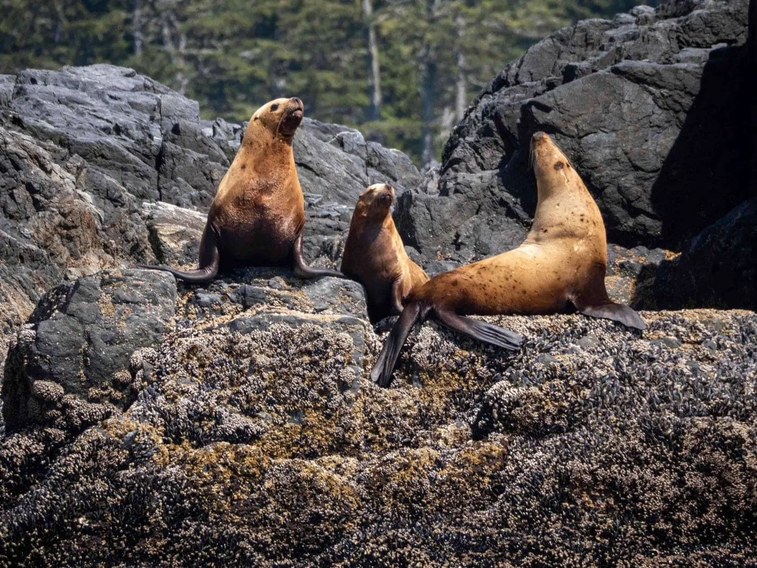 10 Amazing Oregon Coast State Parks 3 Oregon Coast State Parks