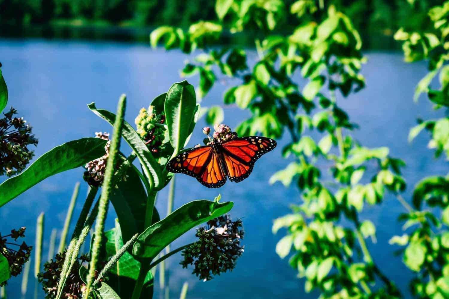 11 Exciting Things To Do At The Little River Marina 3 Little river marina