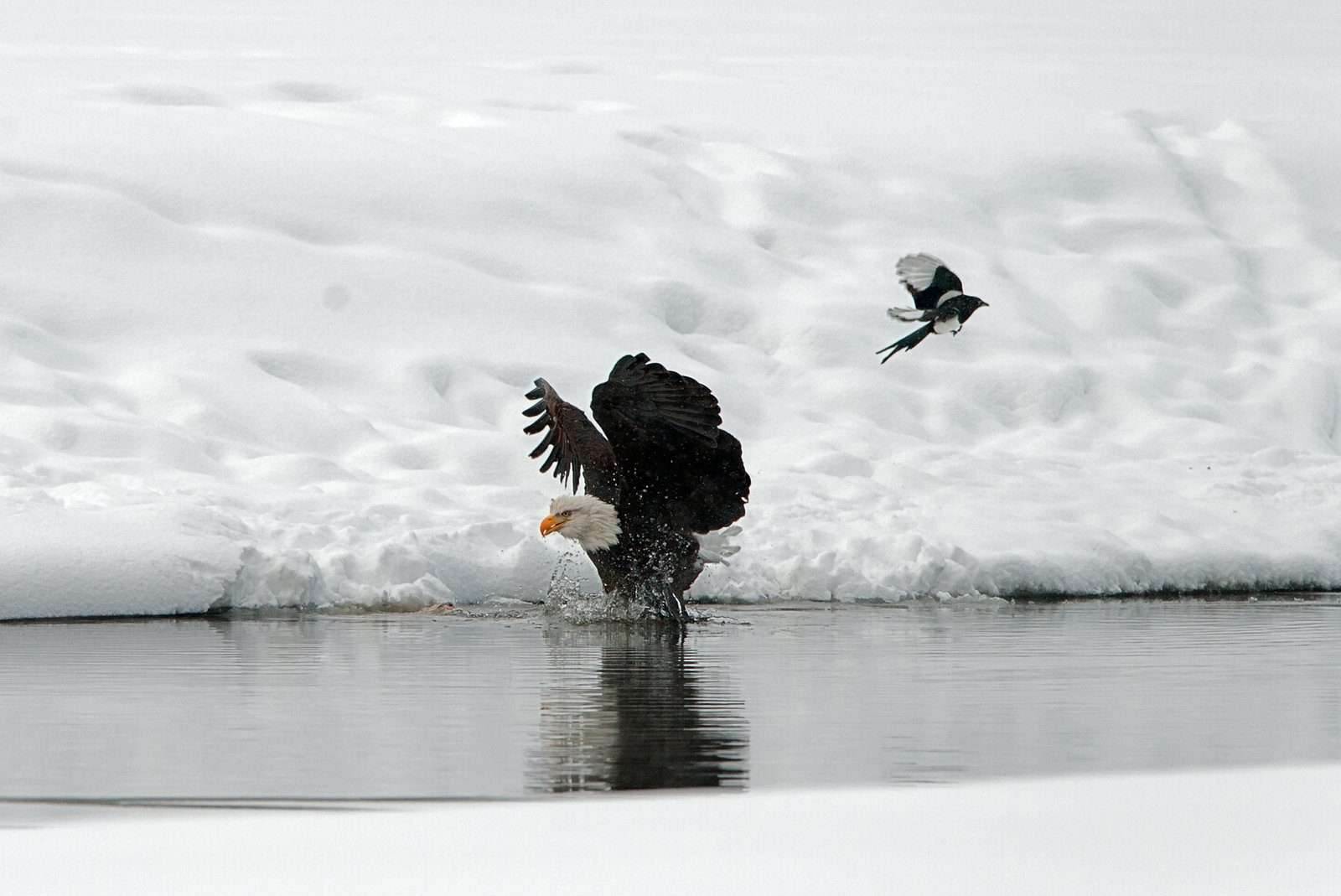 Eagle Lake Alaska