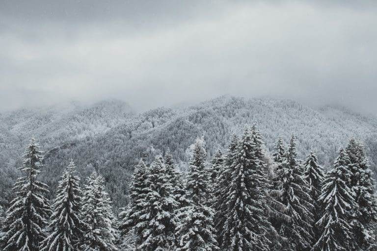 white mountains winter