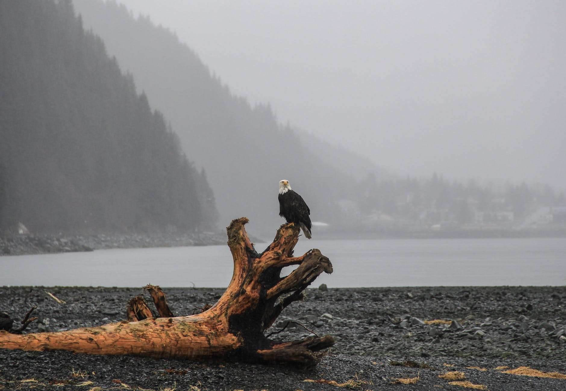 eagle lake Alaska