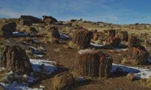 13 Best Top-Rated Things To Do In Arizona 5 Petrified forest National Park