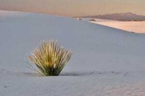 14 Best Rated Things To Do In New Mexico 2 White Sands National Park