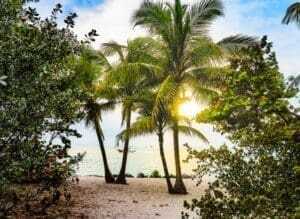 26 Best Things To Do In Miami 3 pexels nextvoyage 2225499