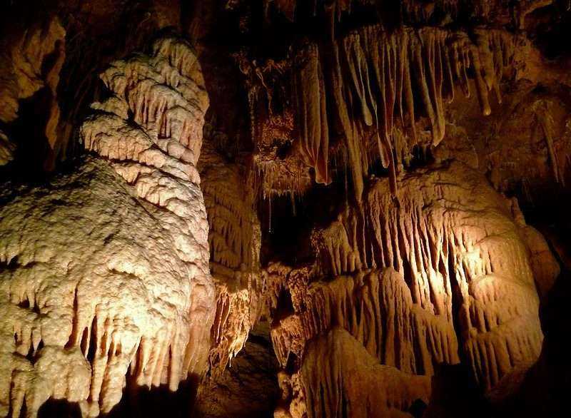8 Best Things To Do In San Antonio: A Complete Guide 9 14506912917 7ebc38b4a7 c 1
