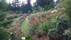 10 Best Things To Do In Oregon 5 Washington Park