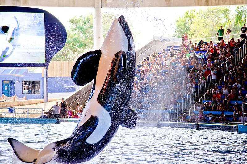 8 Best Things To Do In San Antonio: A Complete Guide 14 5937354693 d871661fd8 c