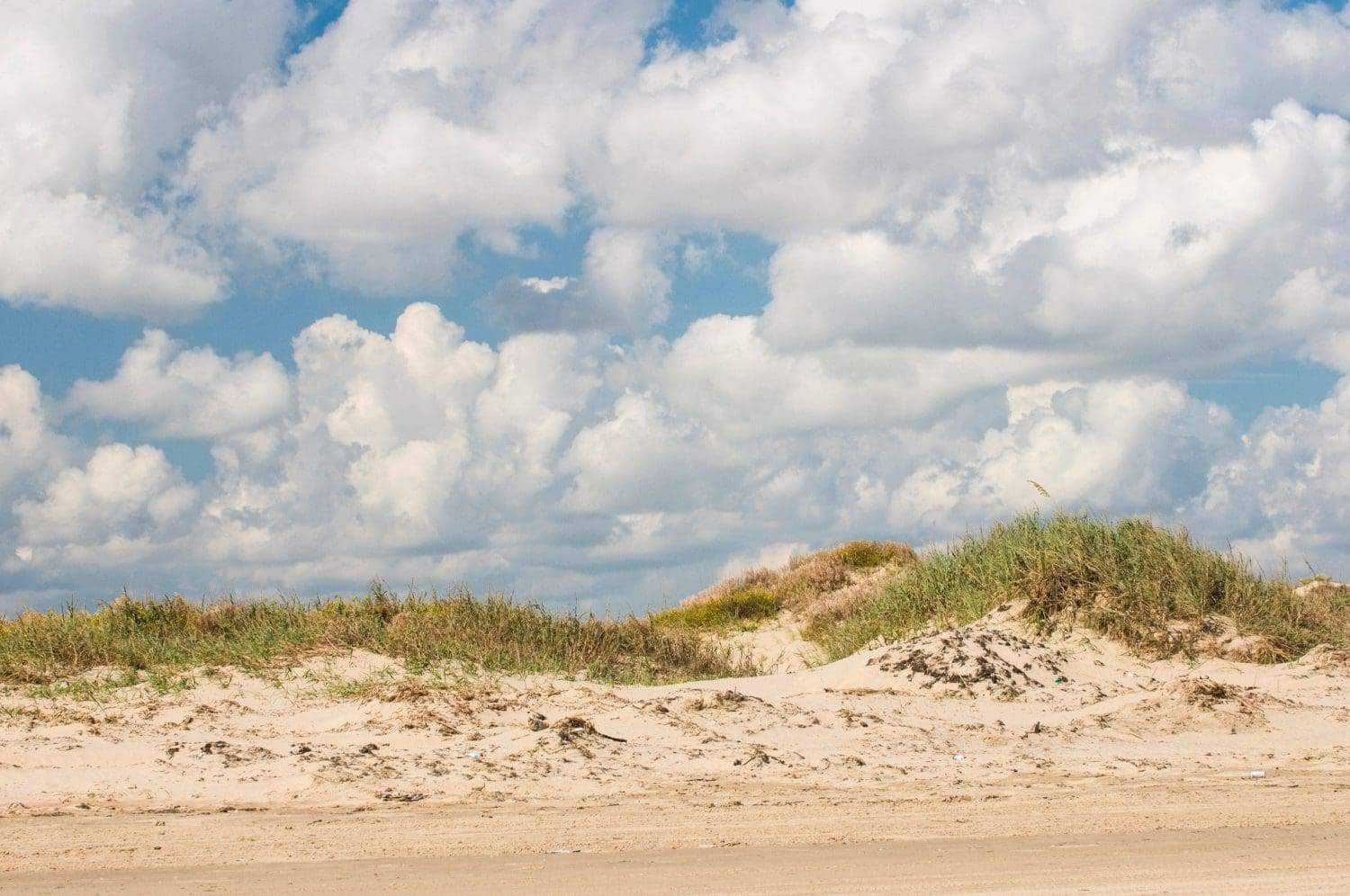9 Best Beaches in Texas 2 bc scaled
