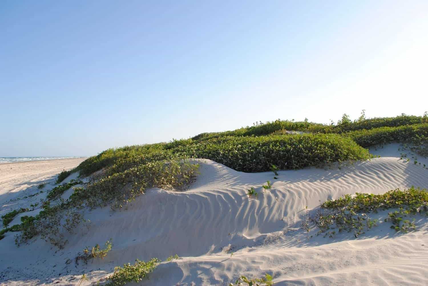9 Best Beaches in Texas 5 ms scaled
