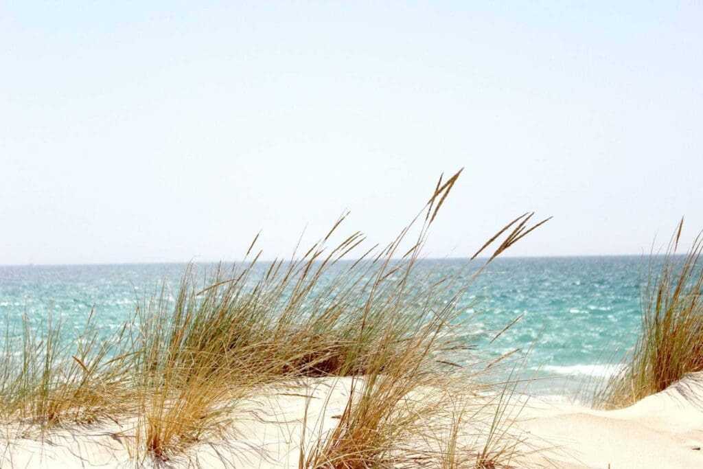 15 Best Virginia Beaches To Visit In Summer 2 Virginia Beaches