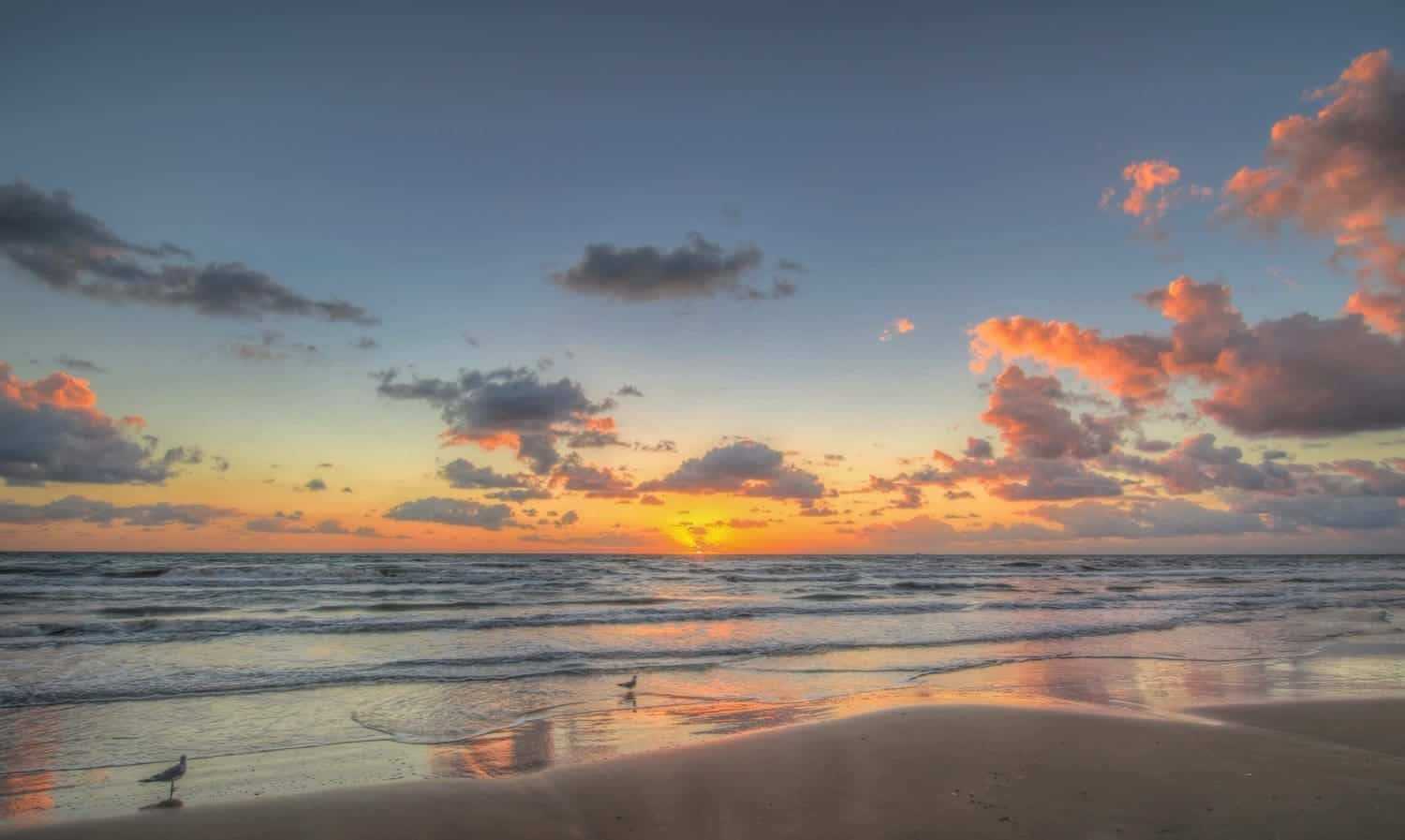 9 Best Beaches in Texas 3 ps scaled
