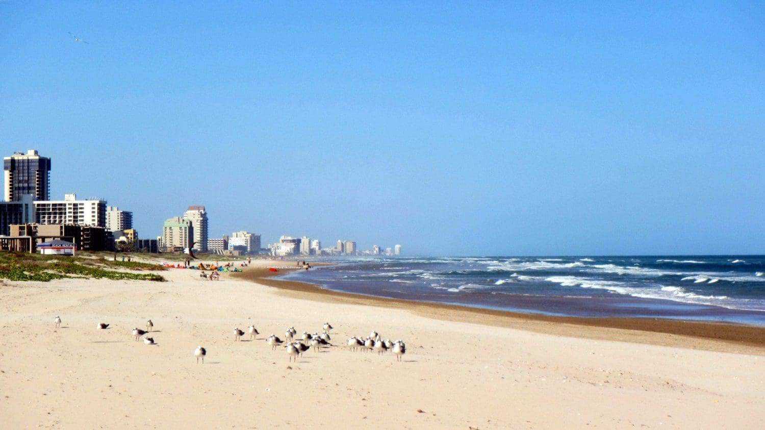 9 Best Beaches in Texas 4 sp scaled