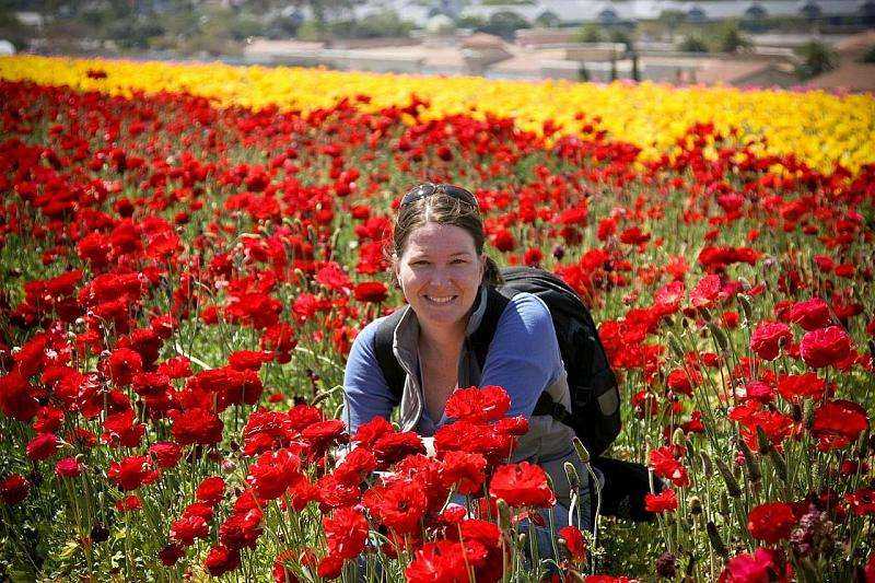 Top 5 Fun Activities in Flower Fields Carlsbad 1 flower fields Carlsbad