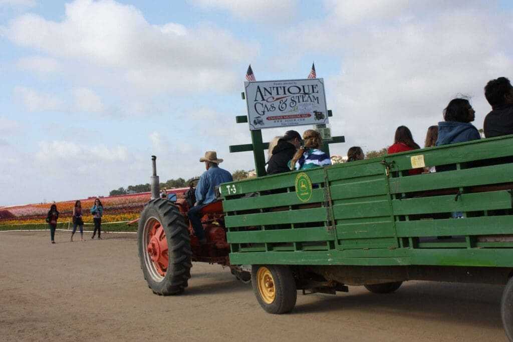 Top 5 Fun Activities in Flower Fields Carlsbad 6 Flower Fields Carlsbad
