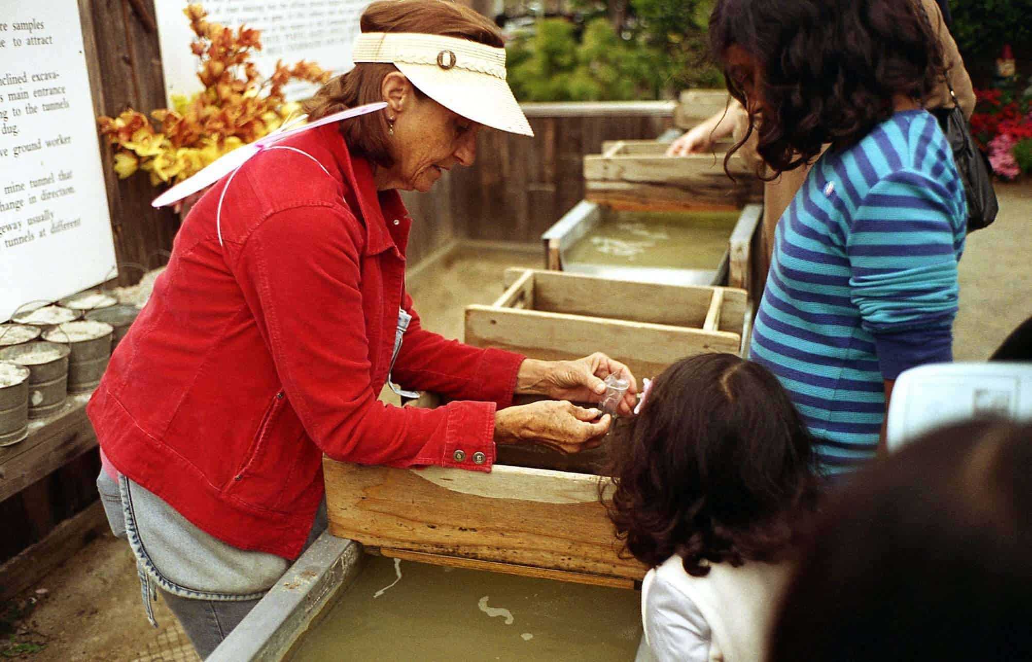 Top 5 Fun Activities in Flower Fields Carlsbad 5 Flower Fields Carlsbad