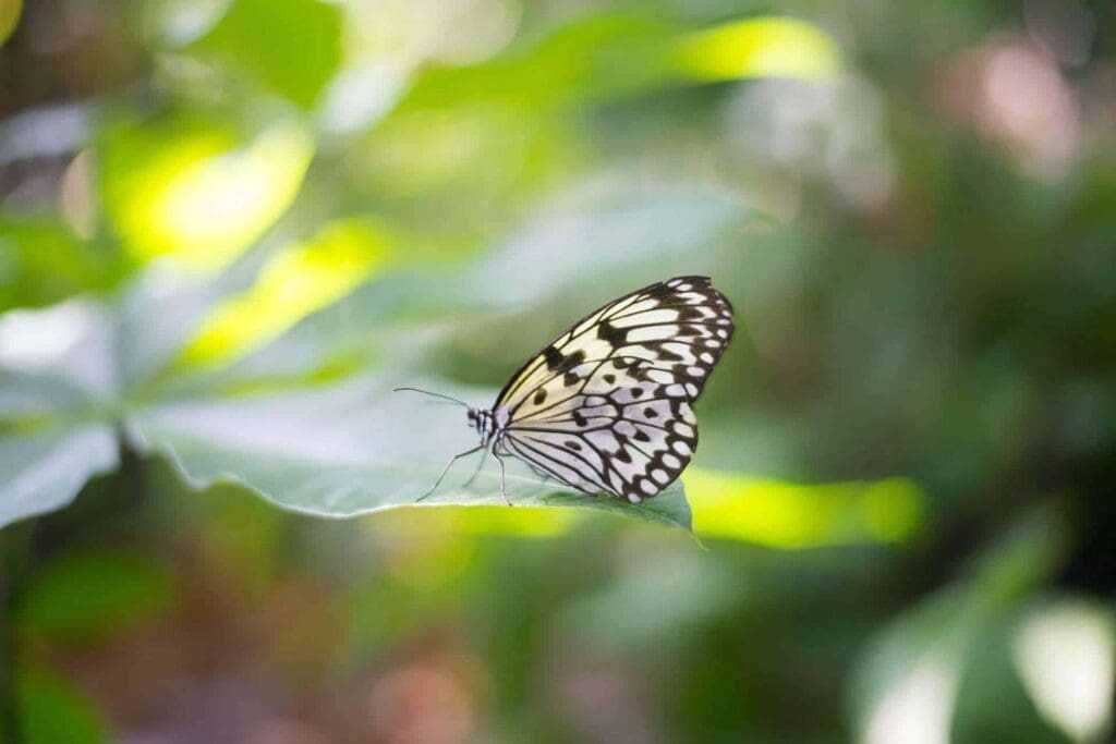 20 Best Things To Do In Houston 4 things to do in houston