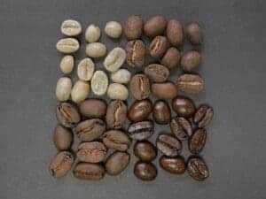How to Make Cold Brew Coffee 6 coffee beans of different roasts