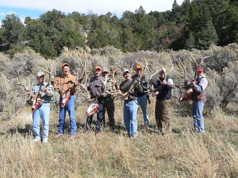 Best 101 Guide To Colorado Elk Hunting 3 Elk Hunting