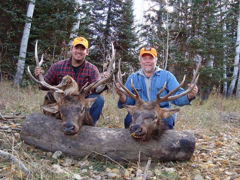 Best 101 Guide To Colorado Elk Hunting 1 Colorado Elk Hunting