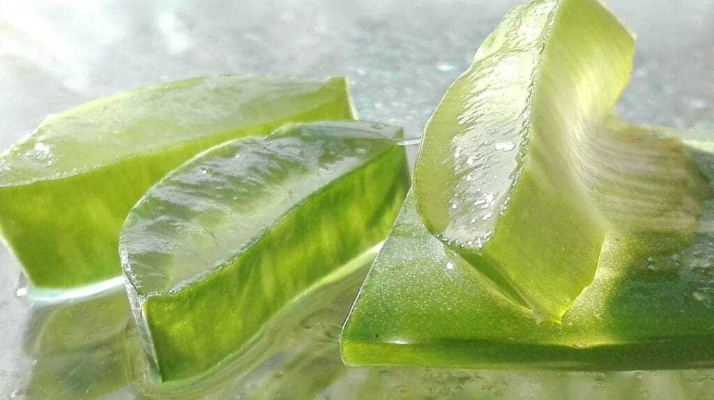 7 Best Health Benefits of Aloe Vera Juice 4 benefits of aloe vera juice