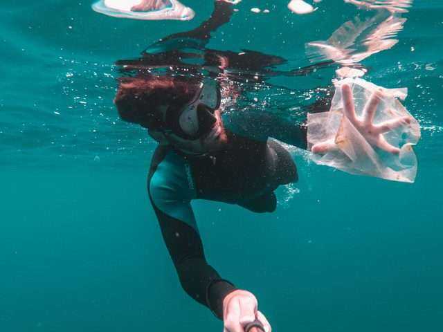 What Trash In The Ocean Does To The Aquatic Life: 10 Best Ways To Reduce It 9 trash in the ocean