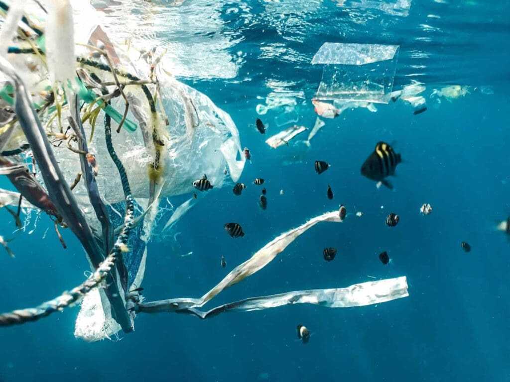 What Trash In The Ocean Does To The Aquatic Life: 10 Best Ways To Reduce It 3 Trash in the ocean