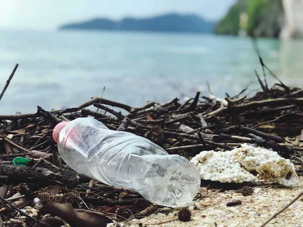 What Trash In The Ocean Does To The Aquatic Life: 10 Best Ways To Reduce It 7 Trash in the ocean